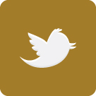 Wael Lahoud Twitter